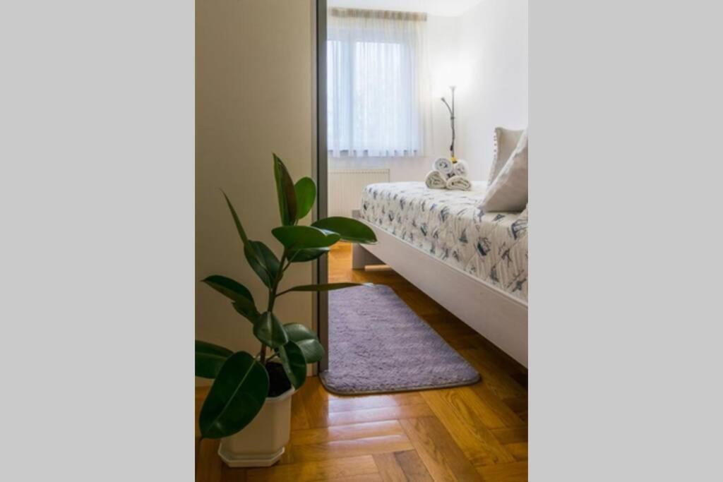 Apartment Jarun Brac Zagreb Buitenkant foto